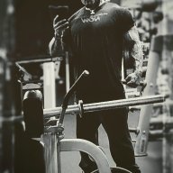 musclereich_lex_ander